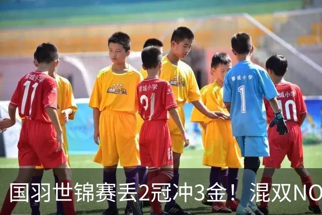 国羽世锦赛丢2冠冲3金！混双NO.1雄起，圣坛剑指卫冕，男双翻身？